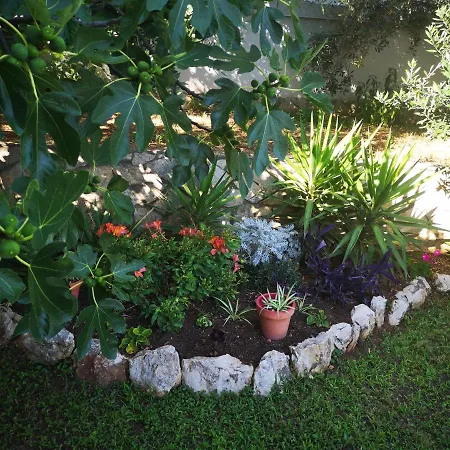 Apartman Borik Apartment Zadar