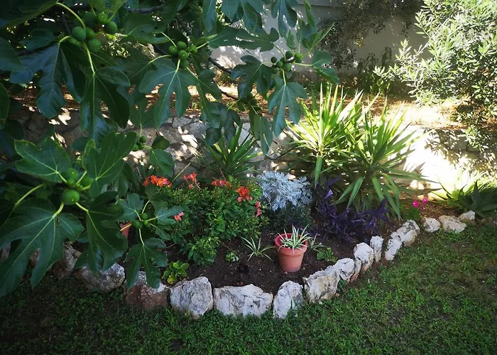 Borik Apartment Zadar